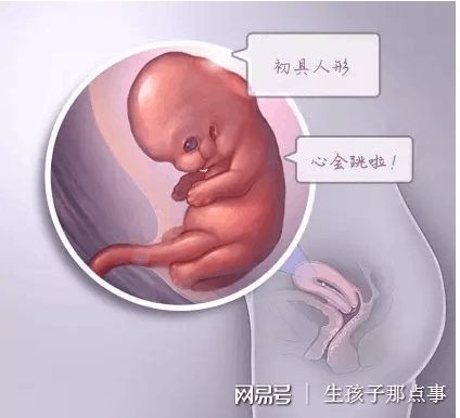 陈医生